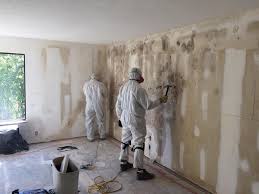 Best Water Damage & Mold Remediation  in St Cloud, FL